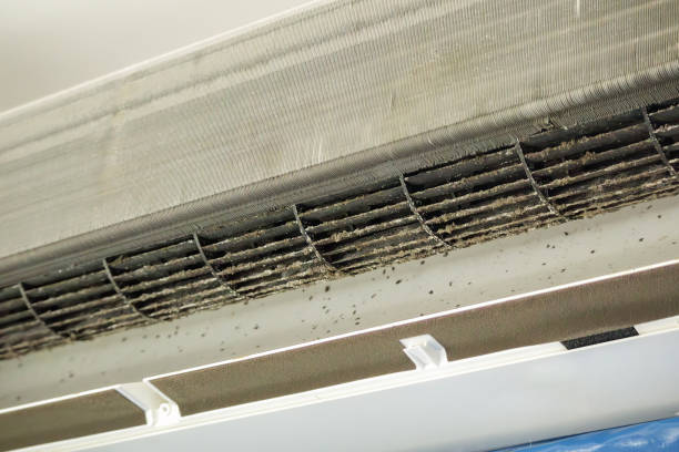 Best Residential Air Duct Cleaning  in Stepping Stone, CO